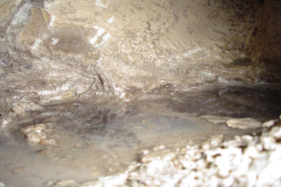 Amerec Lime and Calicum Attached to Tank Walls AI30