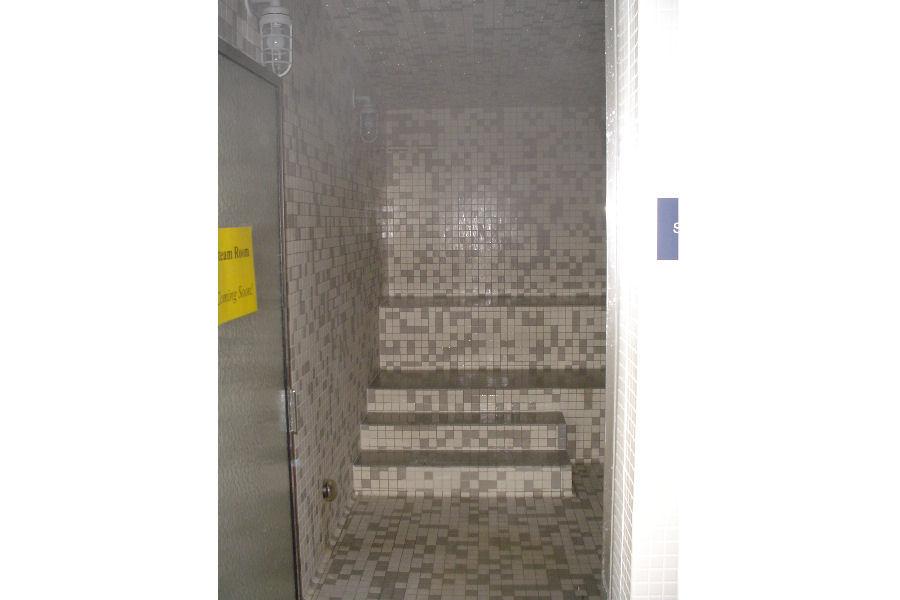 Mr Steam Stair Steps Up To Benches