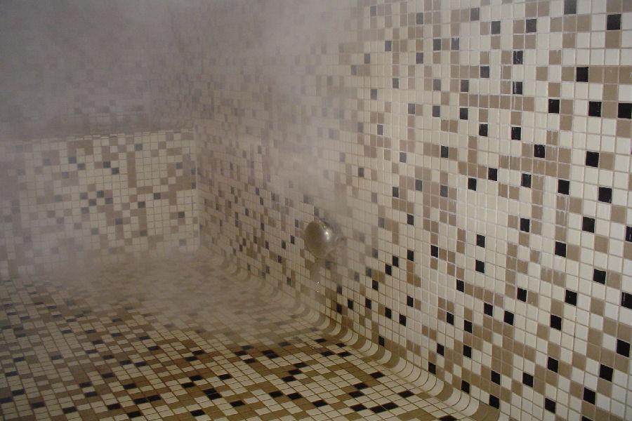 Mr Steam Steam Room Fog Versus Vapor CU Series