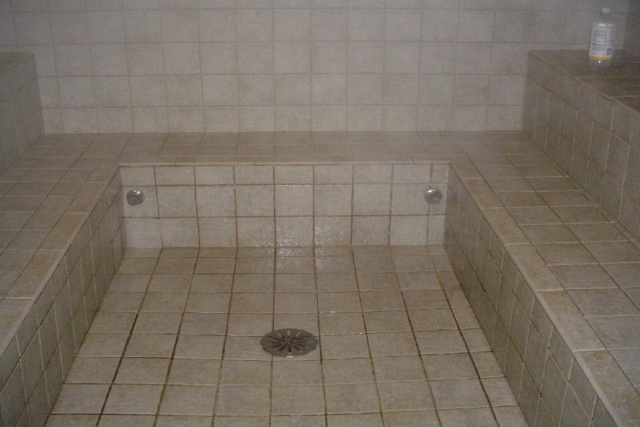 Mr Steam Dual Steam Heads in Commercial Steam Room