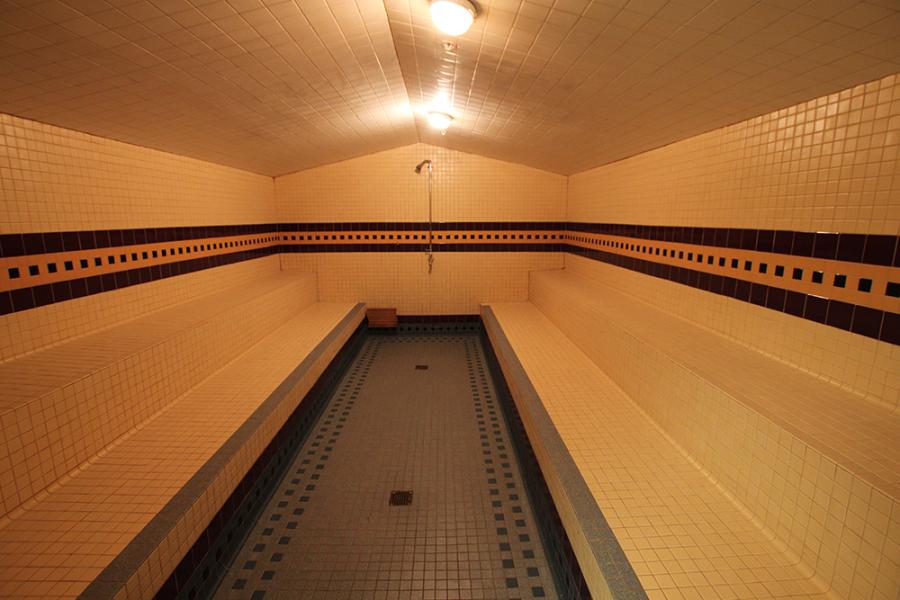 Mr Steam Huge Commercial Steam Room CU2000