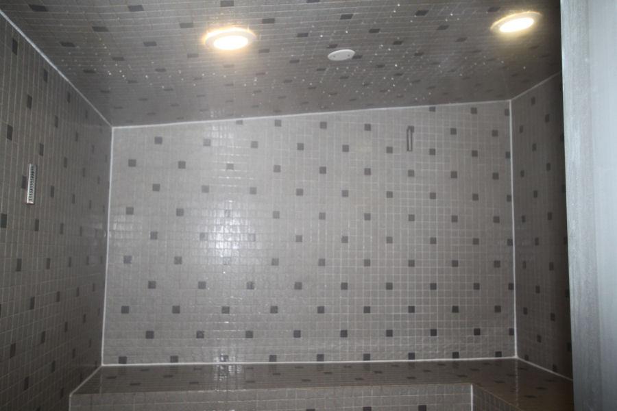 Mr Steam Pitched Ceiling with Condensation CU 750