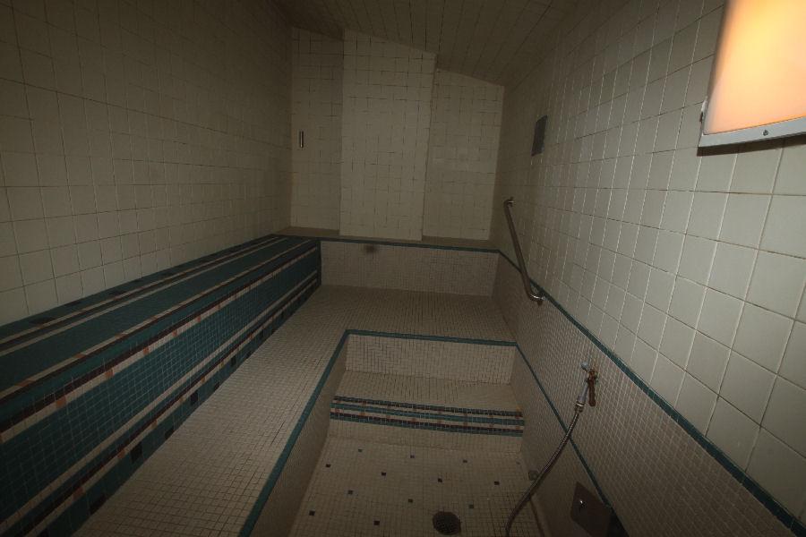 Mr Steam Water Hose In The Steam Room 