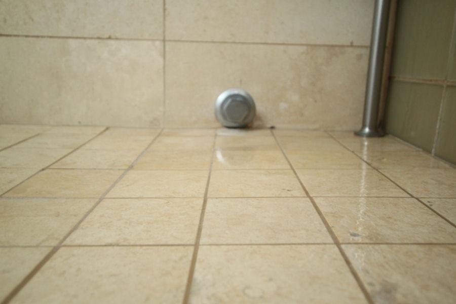 Roma Steam Head Location too Closer to the Floor