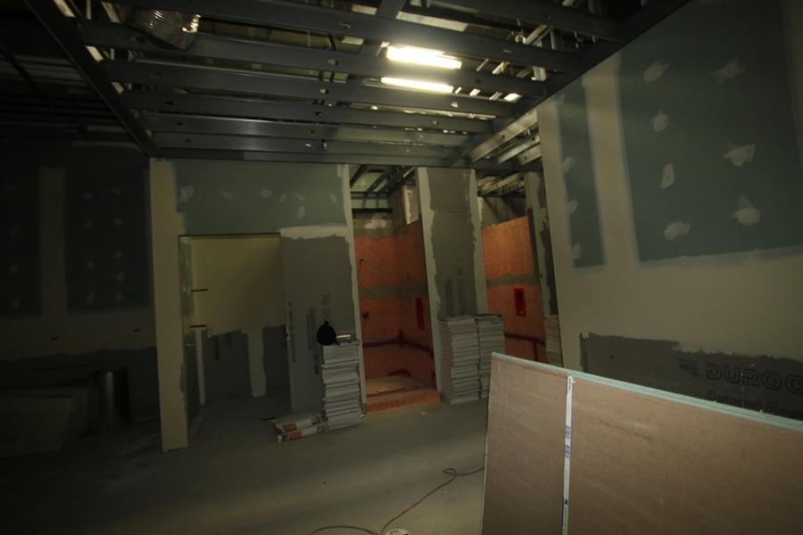 Steam Shower and Shower Rough-in