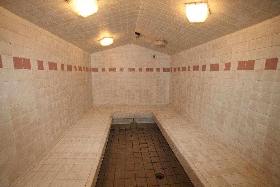 Steamist Large Pitched Ceiling Steam Room 