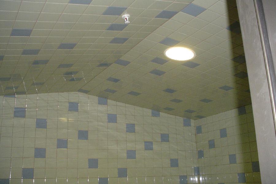 Steamist Steam Room with Roof Pitched Ceiling HC Series
