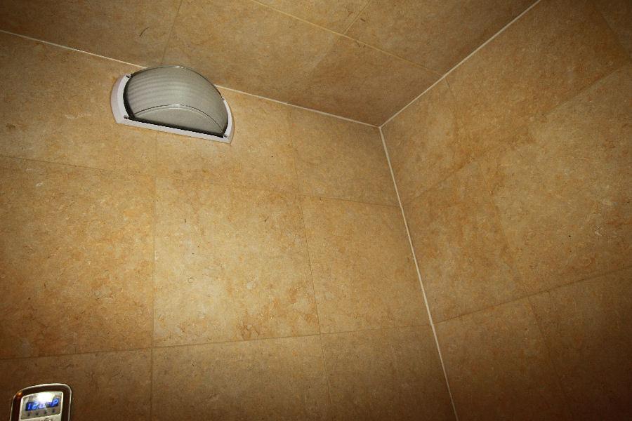 SteamSaunaBath Wall Mounted Steam Shower Luminaire